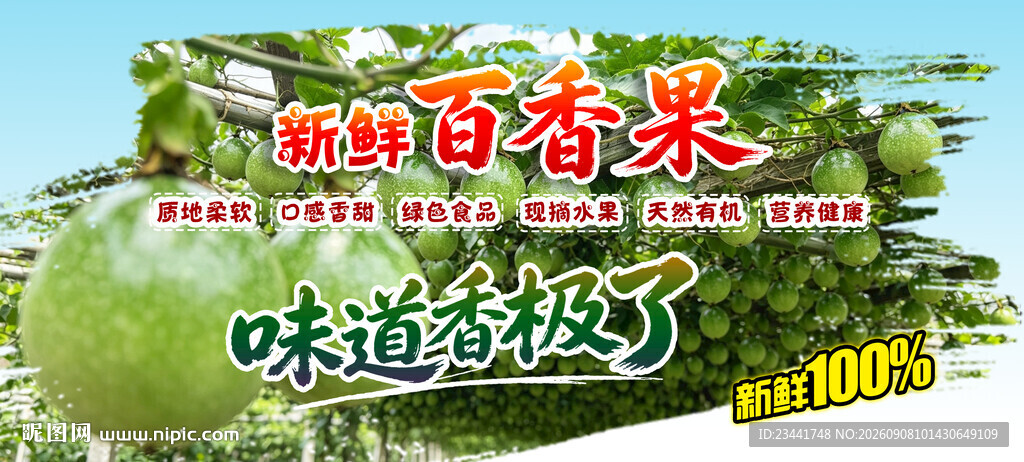 百香果 