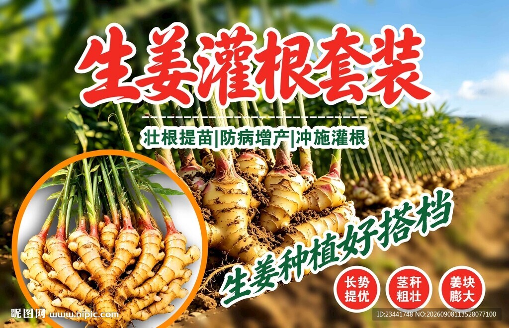 生姜