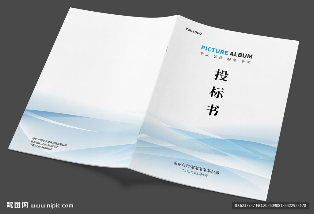 投标书封面封皮