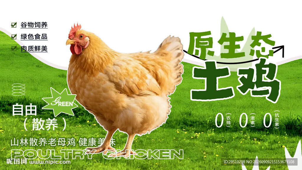 土鸡宣传海报