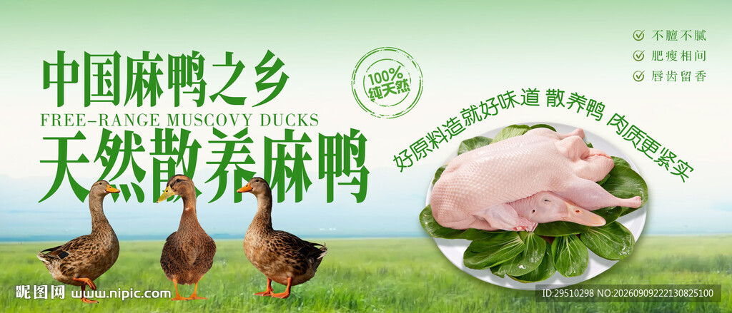 鸭子家禽海宣传