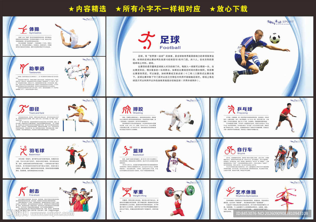 学校体育文化墙