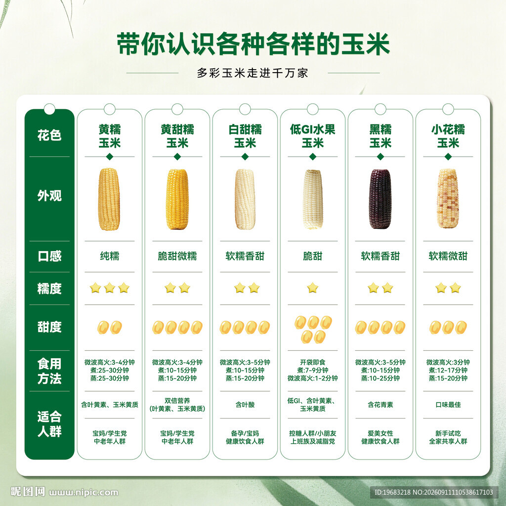 认识各种各样的玉米品种