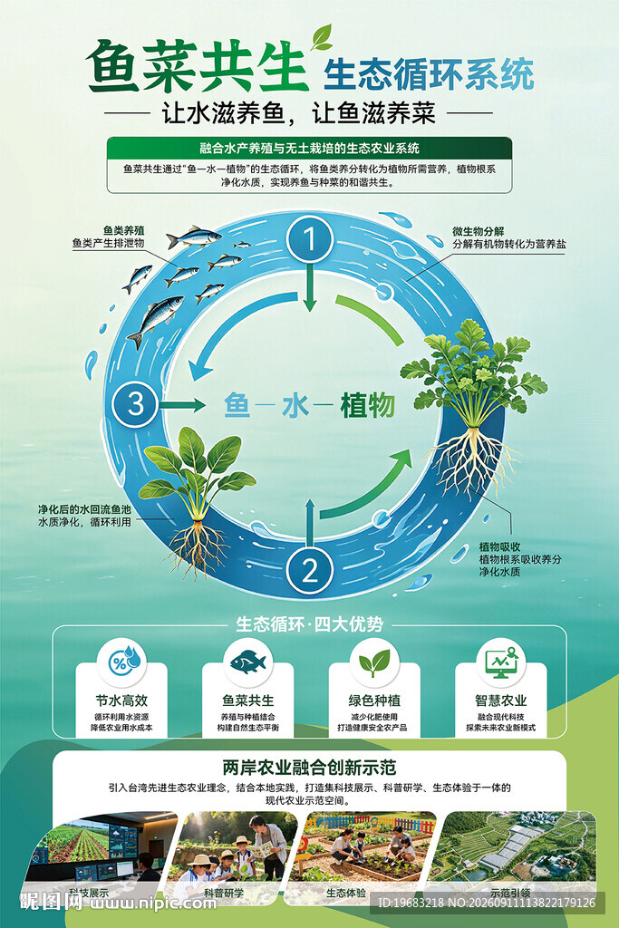 鱼菜共生生态循环系统图