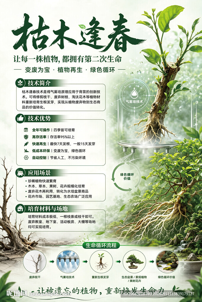 枯木逢春 植物科普海报