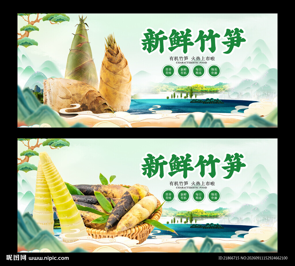 竹笋
