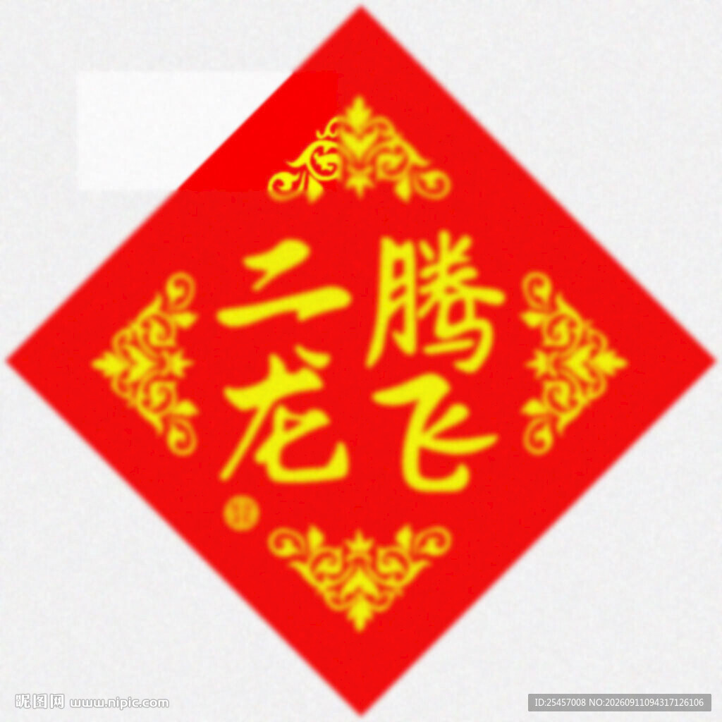 二龙腾飞