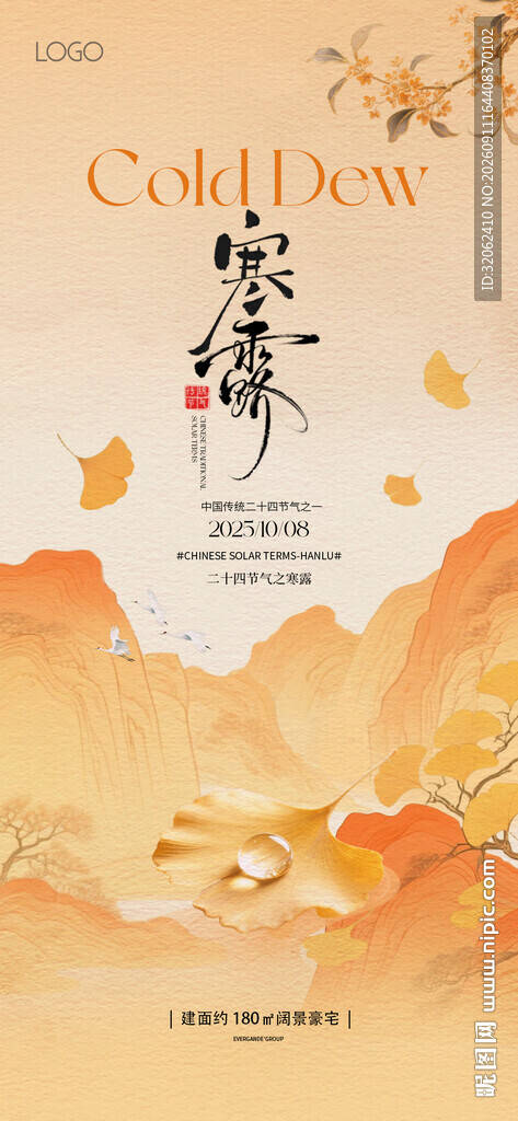 寒露海报