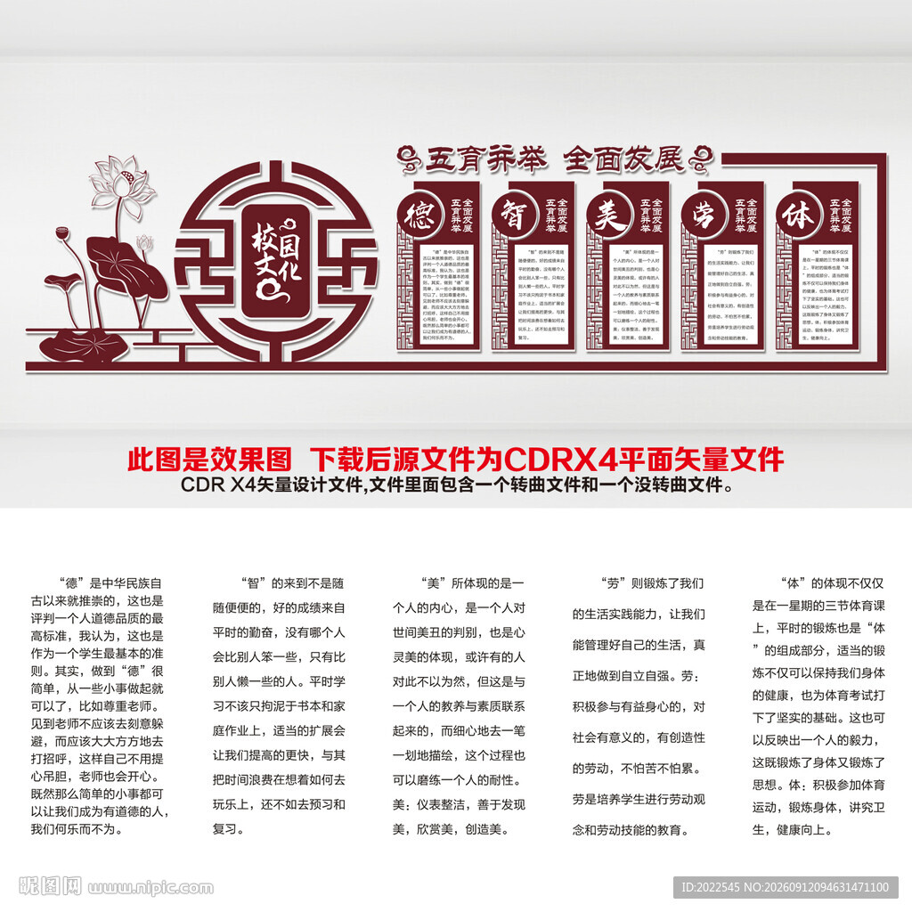 五育并举文化墙