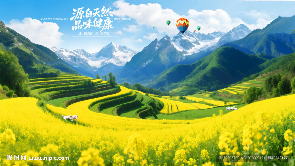 梯田