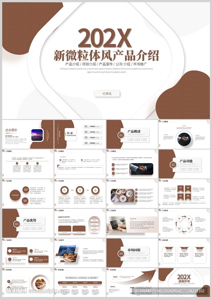 202X商务通用工作介绍PPT