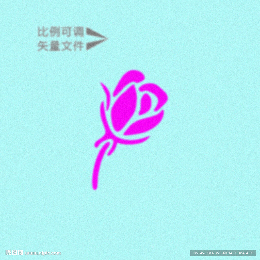 玫瑰花蕾 