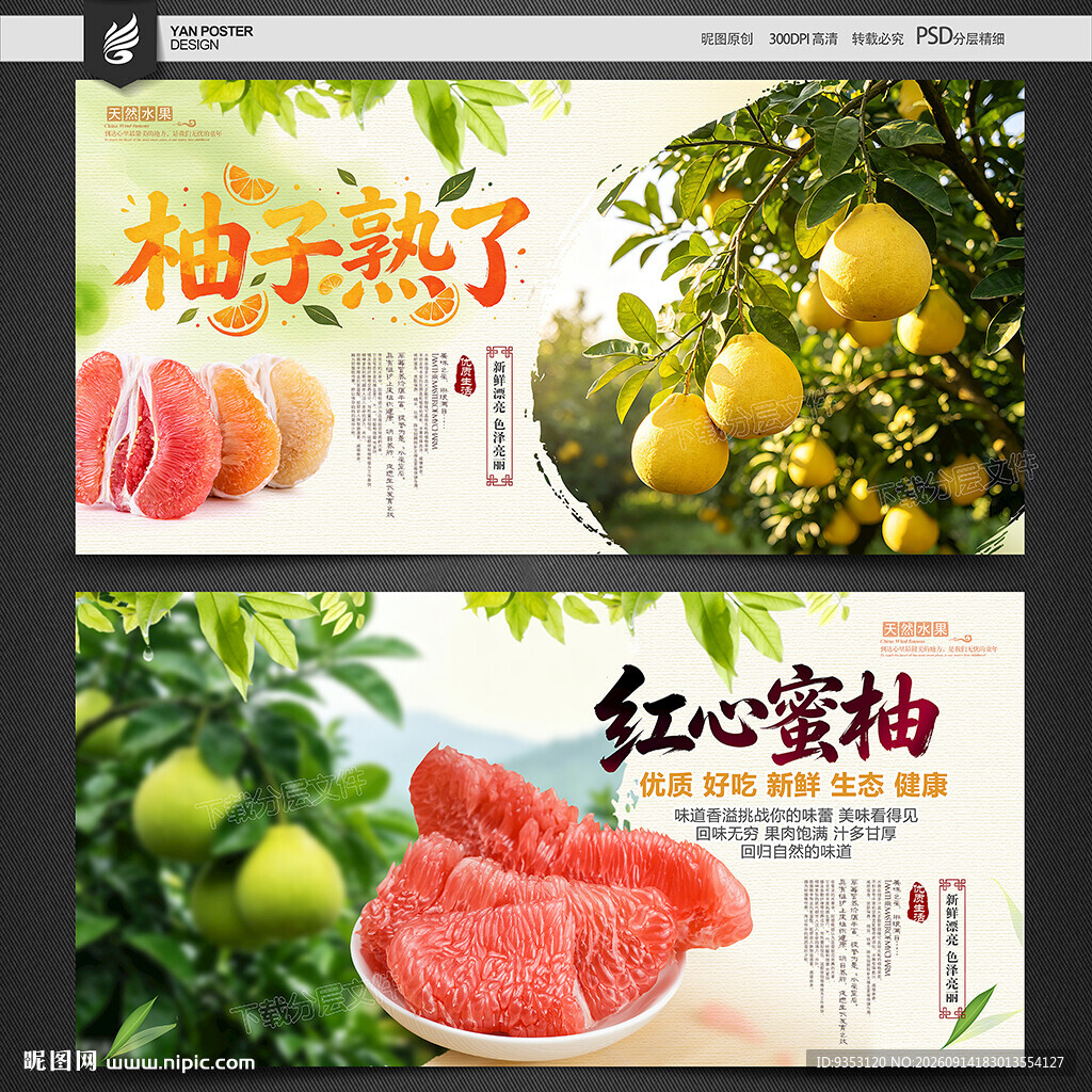 柚子