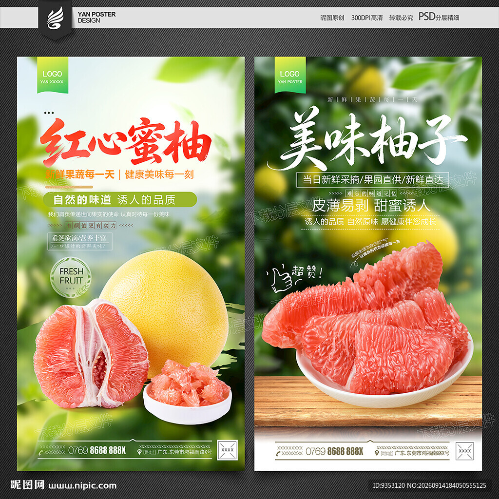 柚子海报