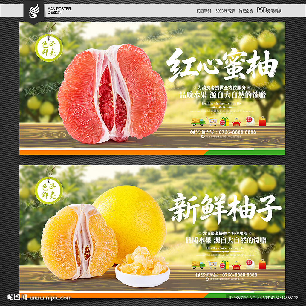 柚子海报