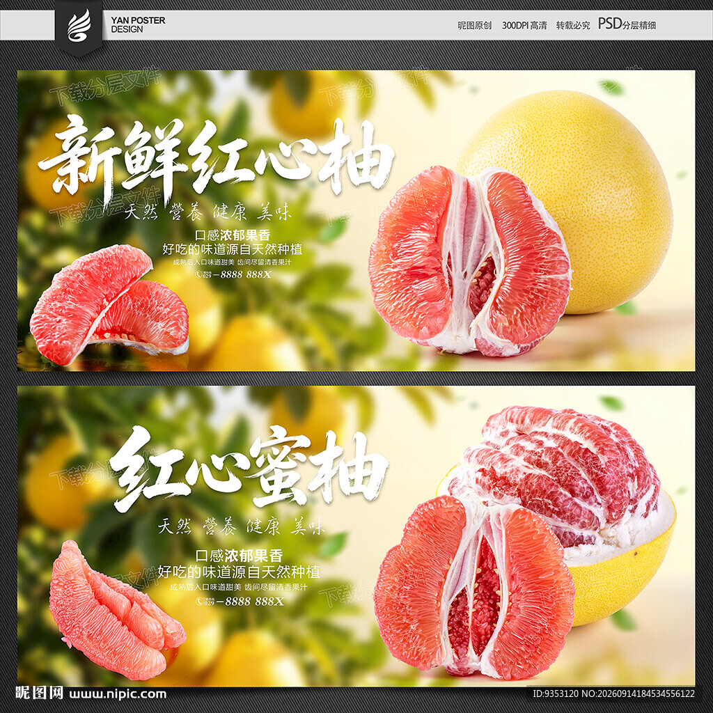红心蜜柚