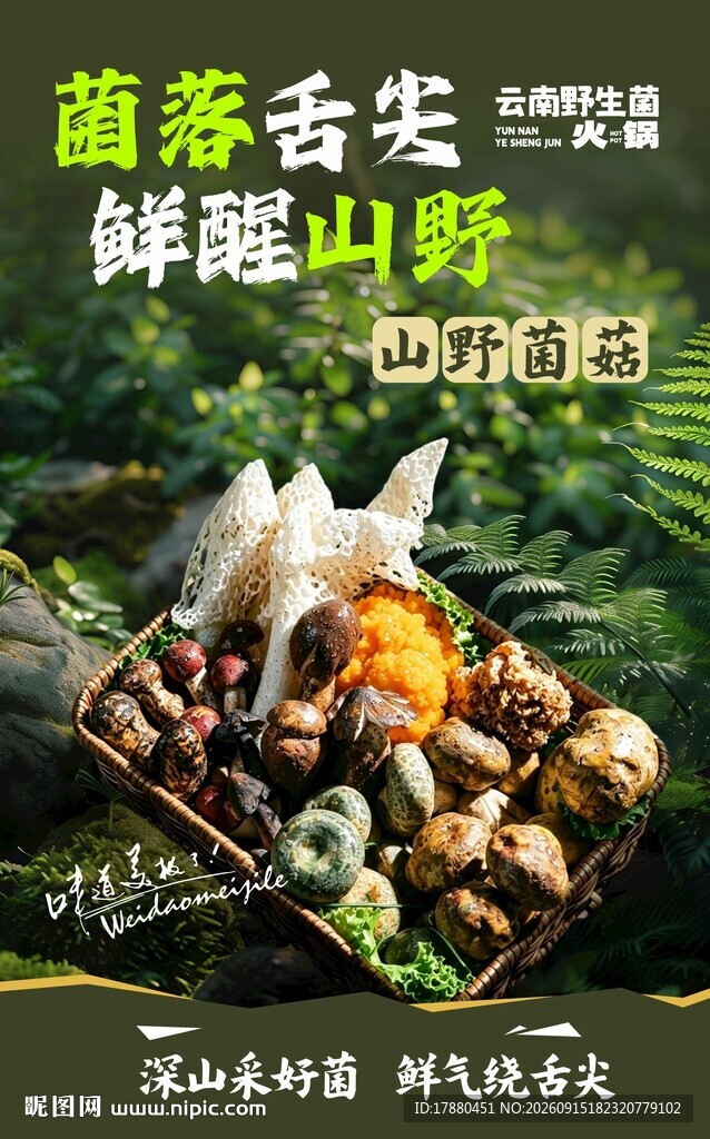 野生菌海报