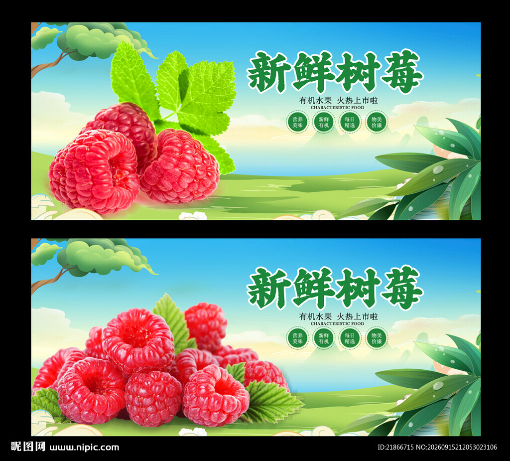 树莓