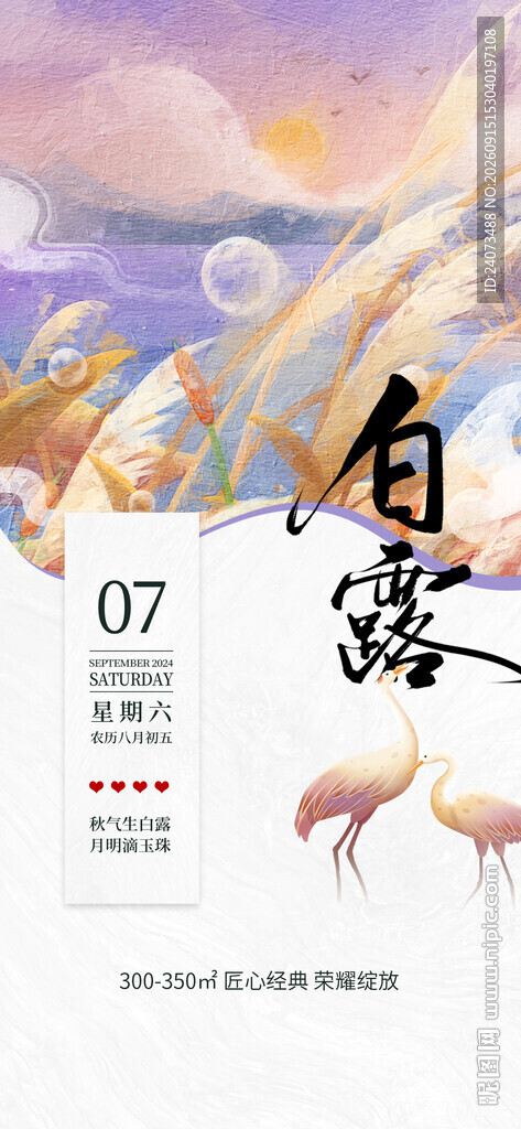 白露节气日历插画海报