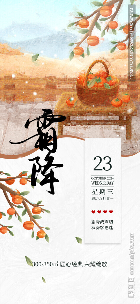 霜降节气日历插画海报