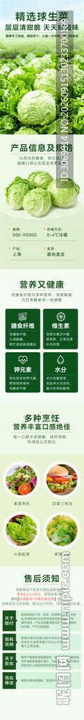 生鲜蔬菜结球生菜电商详情页