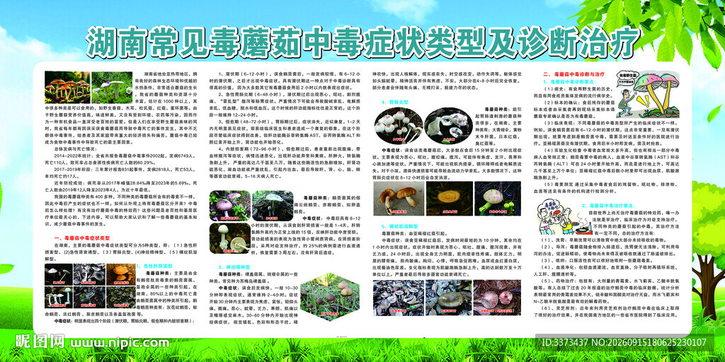 湖南常见毒蘑菇中毒症状类型