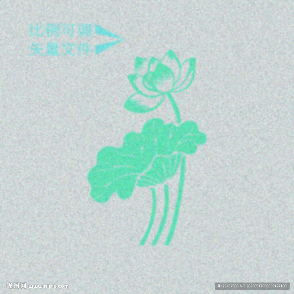 荷花图案   
