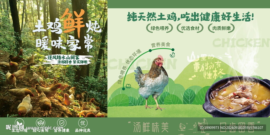新鲜土鸡