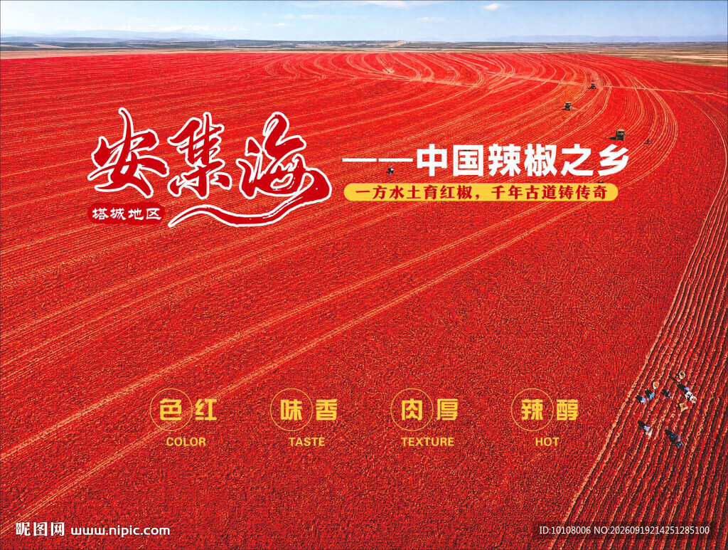 安集海辣椒背景
