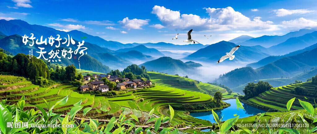 茶园梯田