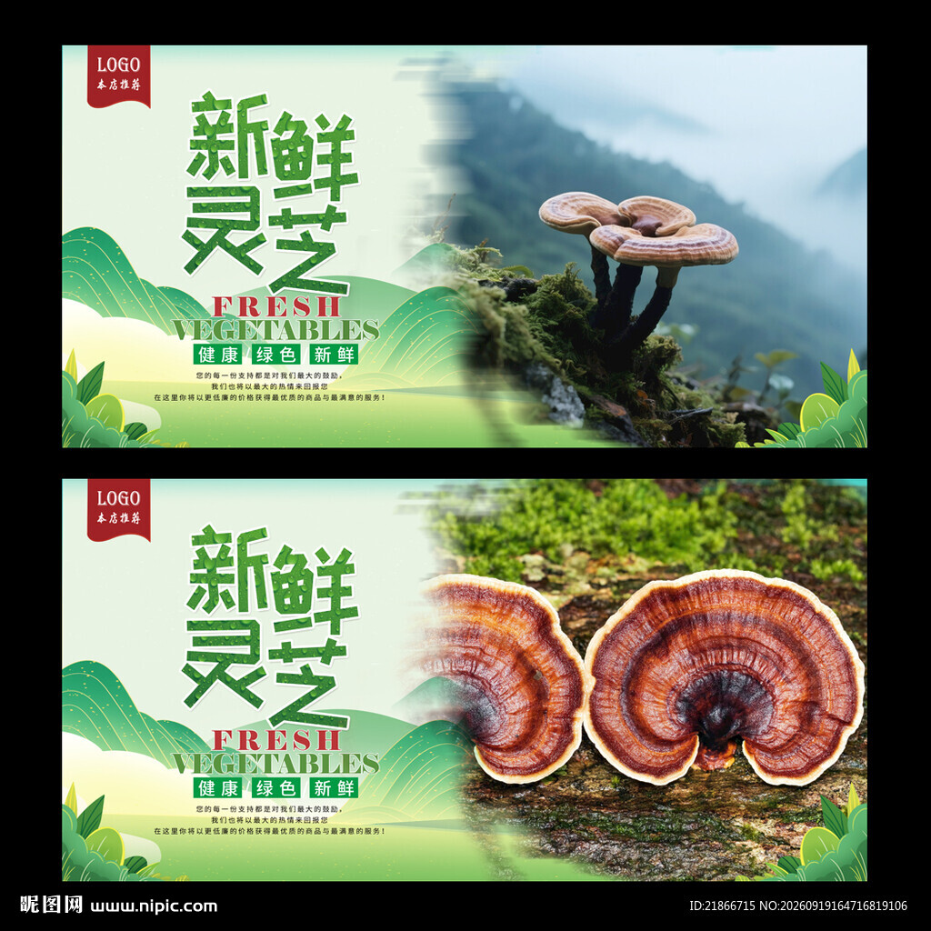 灵芝