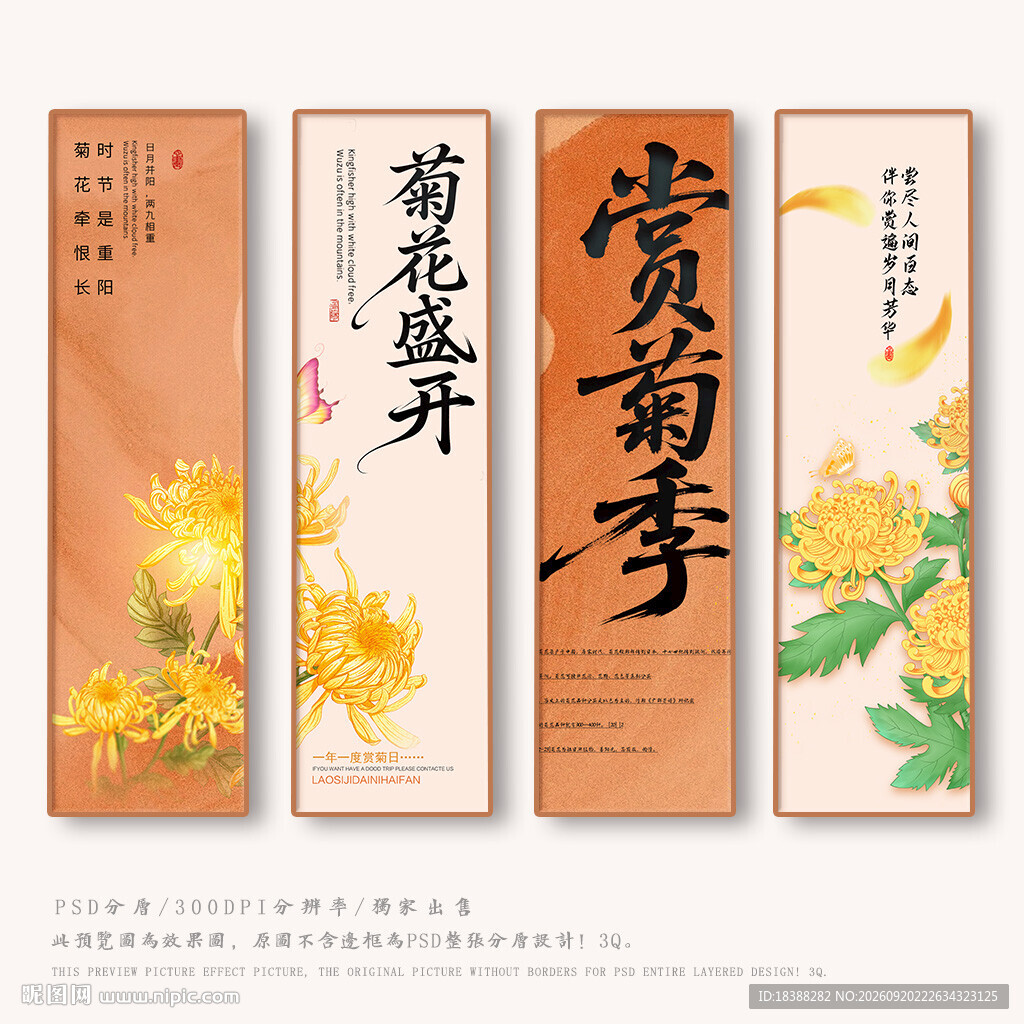 菊花