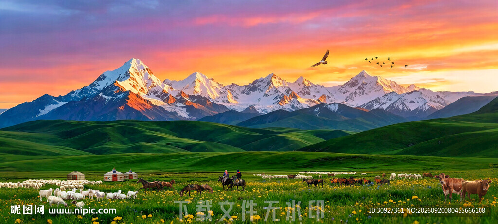 霞光中的草原雪山羊群