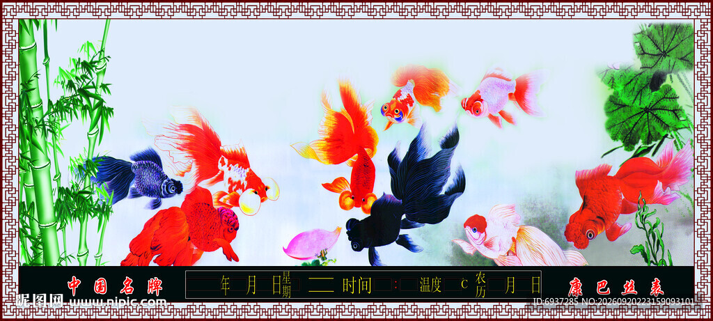 多彩锦鲤鱼群水中嬉戏