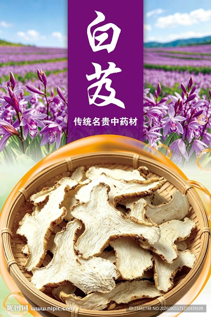 白芨