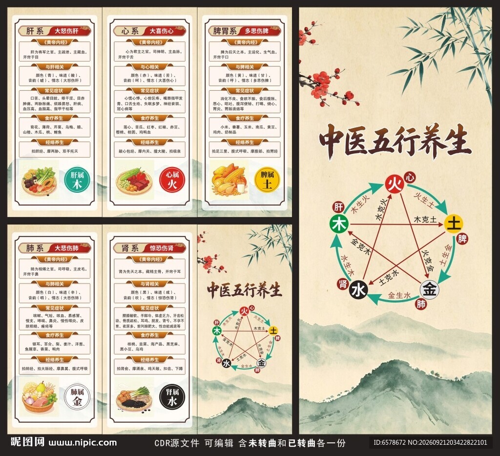 中医五行养生三折页