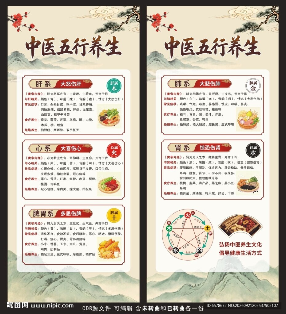 中医五行养生健康教育展架
