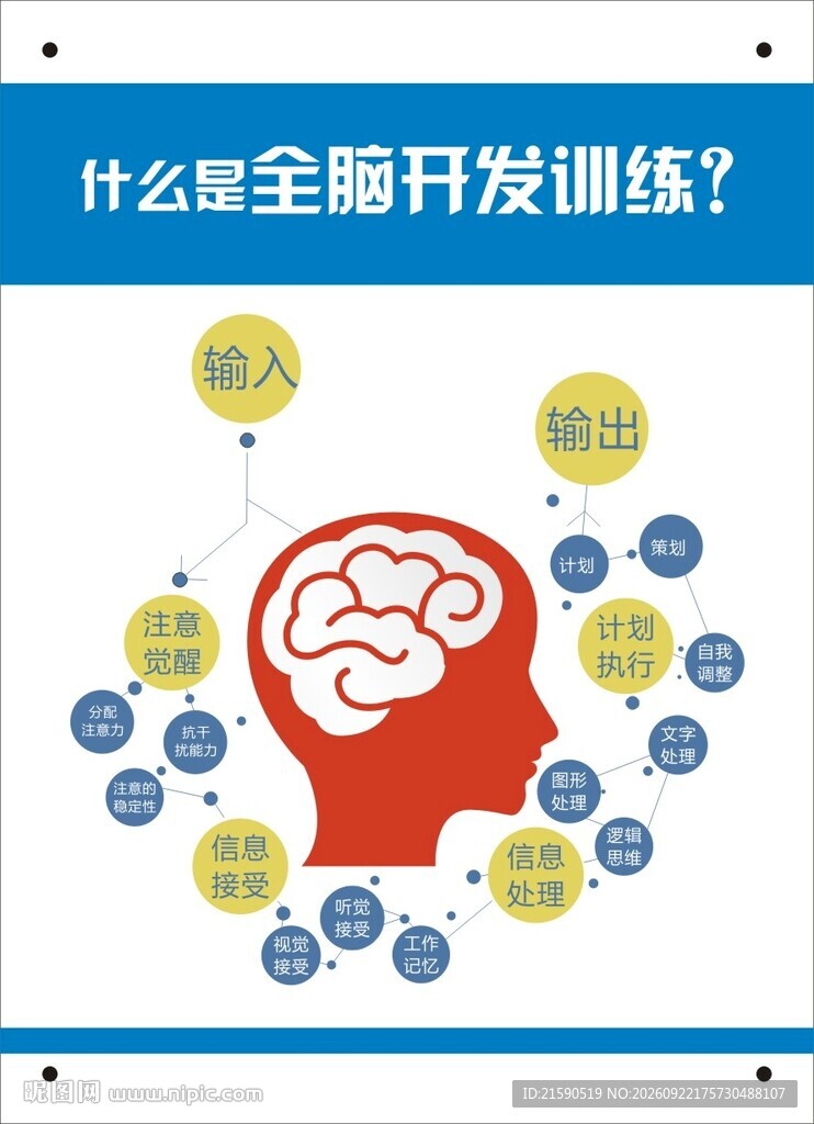 全脑开发训练科普图解