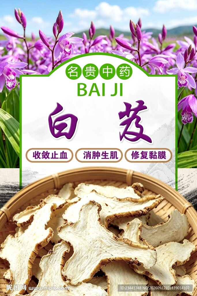 白芨