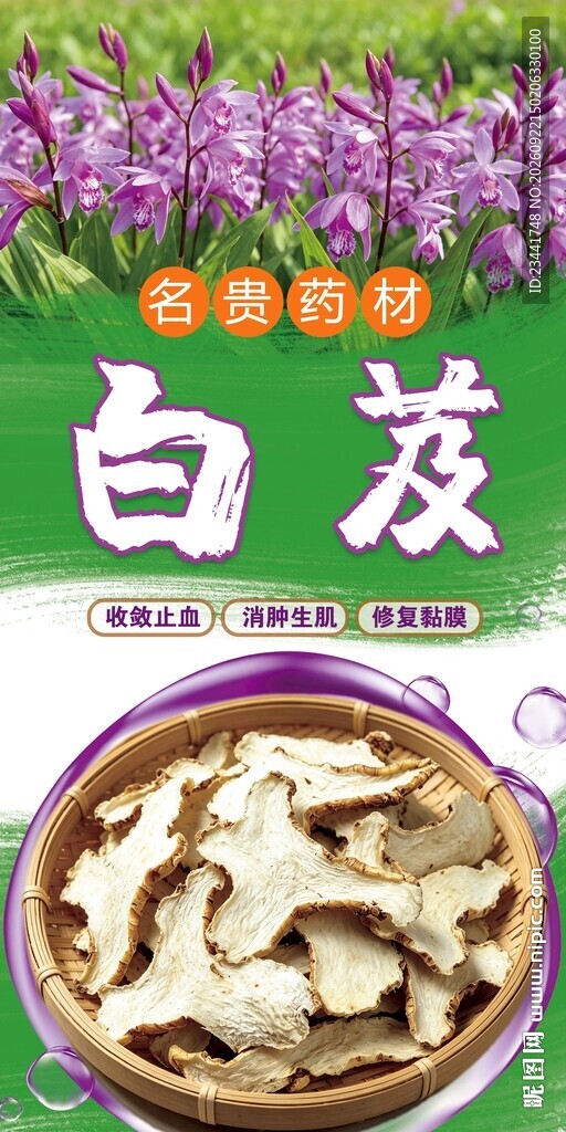 白芨