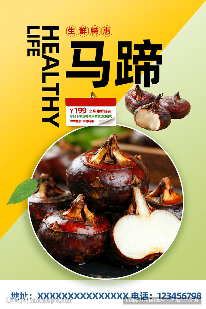马蹄