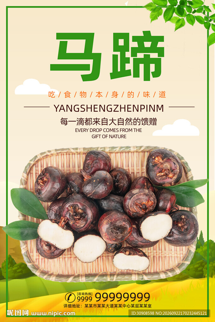 马蹄