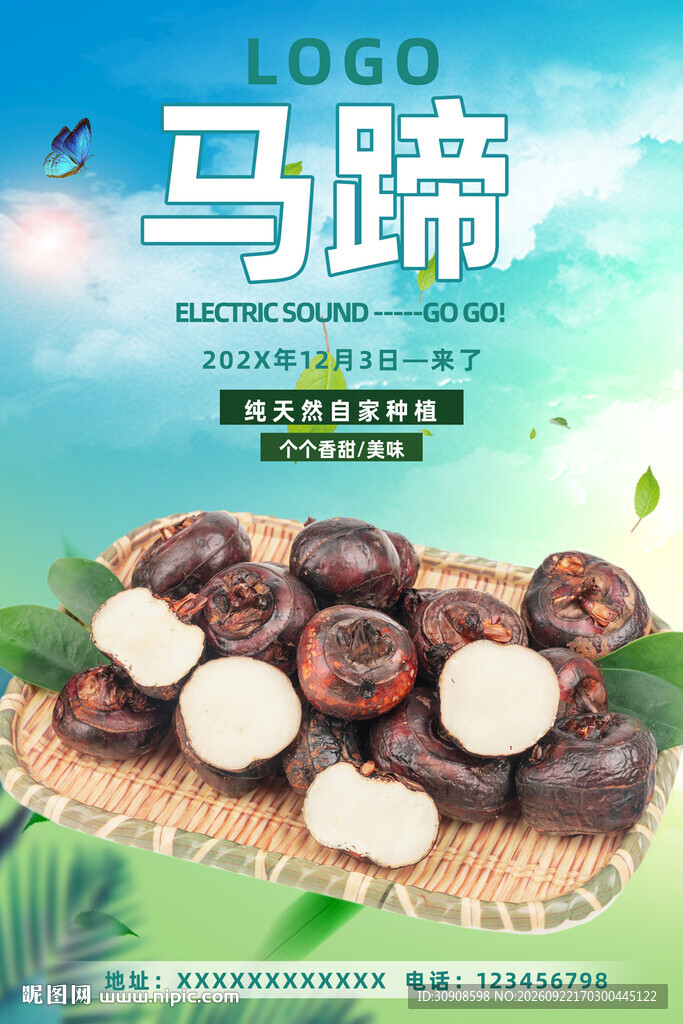 马蹄
