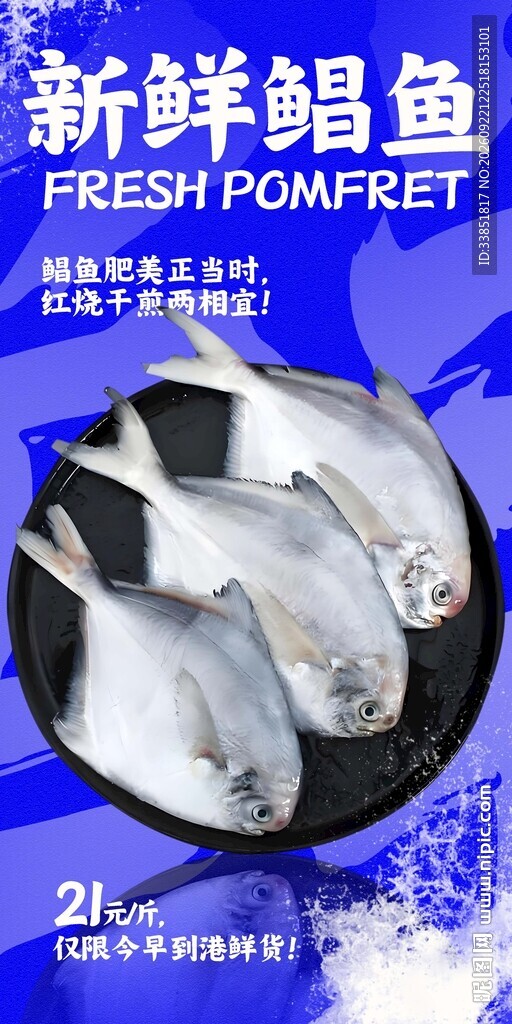 新鲜鲳鱼 