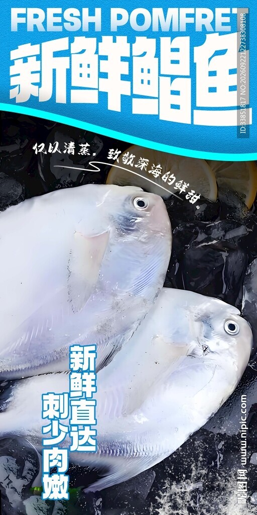 新鲜鲳鱼