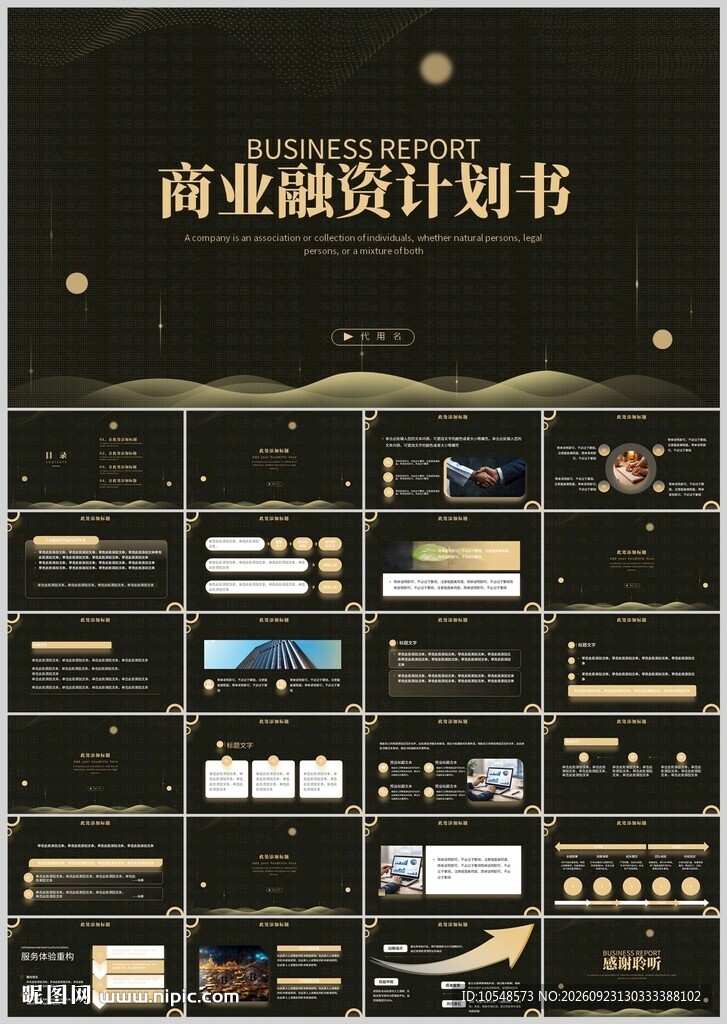 黑金商业融资计划书PPT
