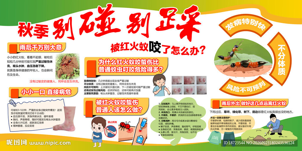 红火蚁展板