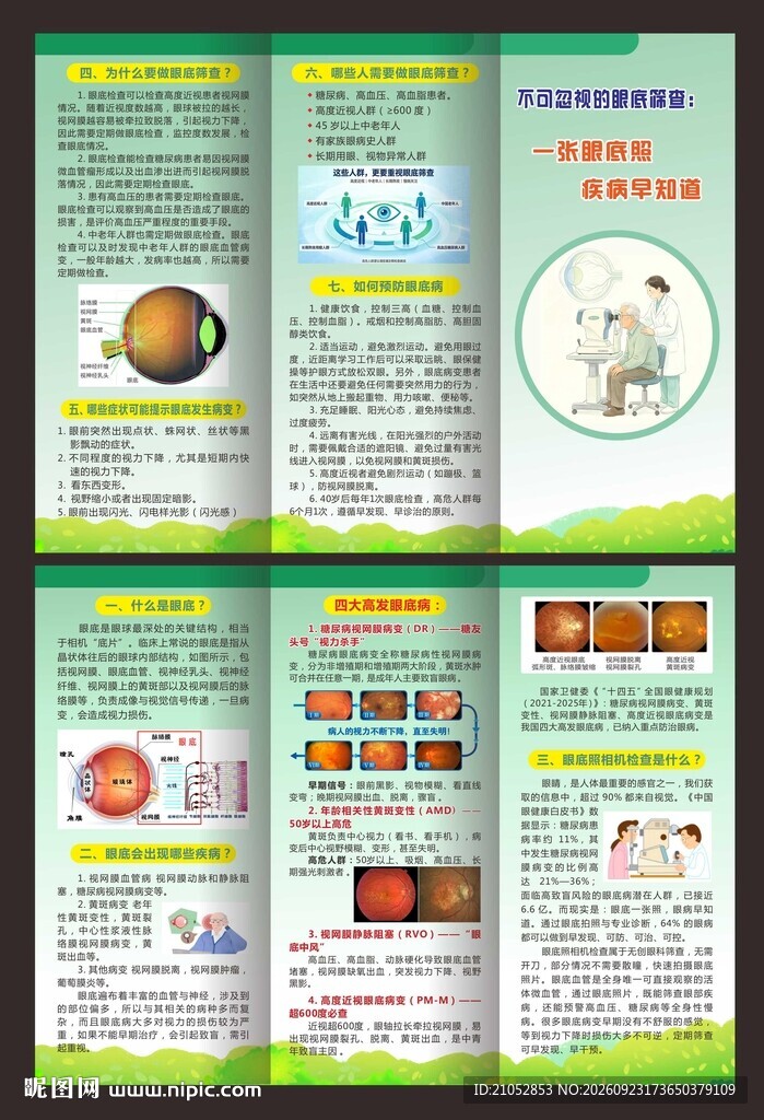 眼底病折页