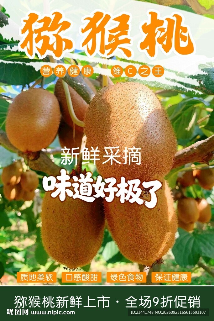 猕猴桃
