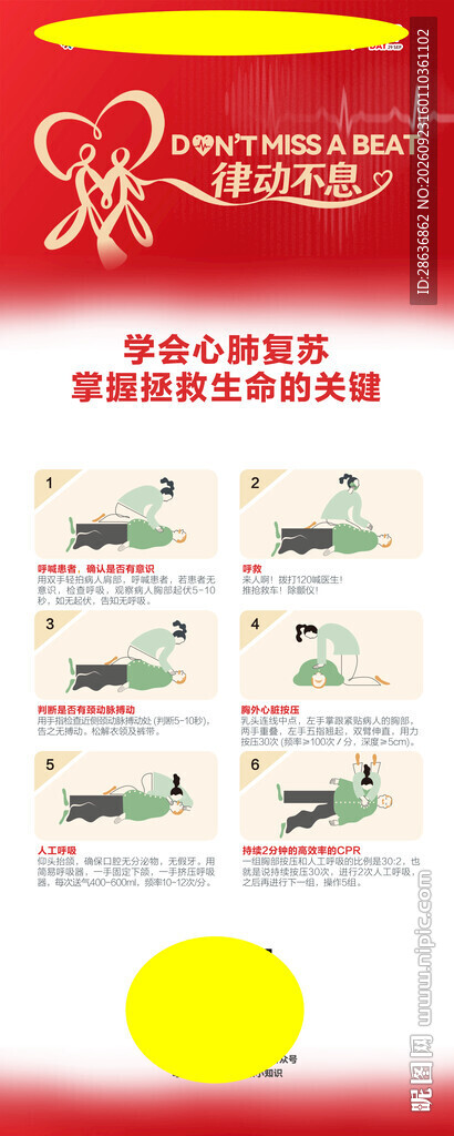 2026年世界心脏日科普易拉宝